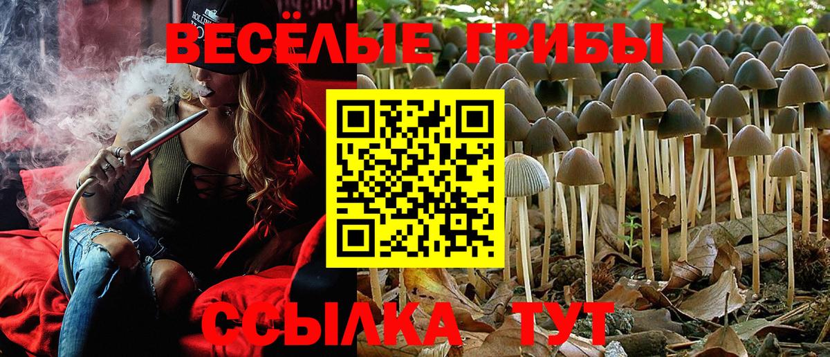 МЕФ Рузаевка