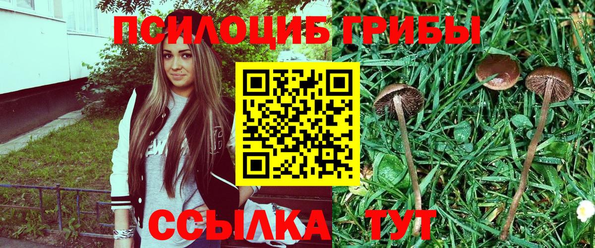 Псилоцибиновые грибы прущие грибы Рузаевка