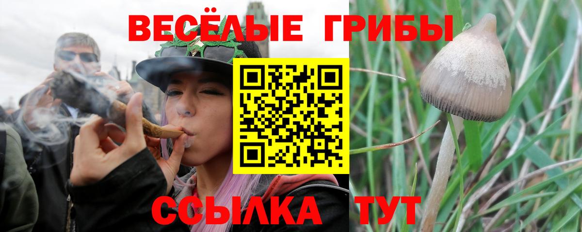 Рузаевка  Галлюциногенные грибы мухоморы  Вход с VPN 